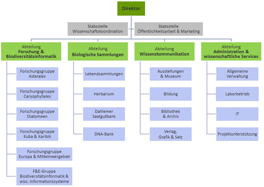 Organisationsstruktur des BGBM | BGBM
