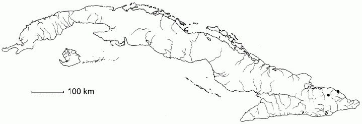 Chamaecrista cupeyalensis