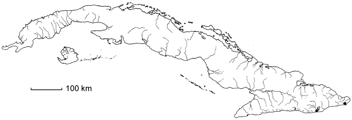 Chloroleucon guantanamense