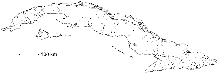 Hibiscus striatus subsp. lambertianus