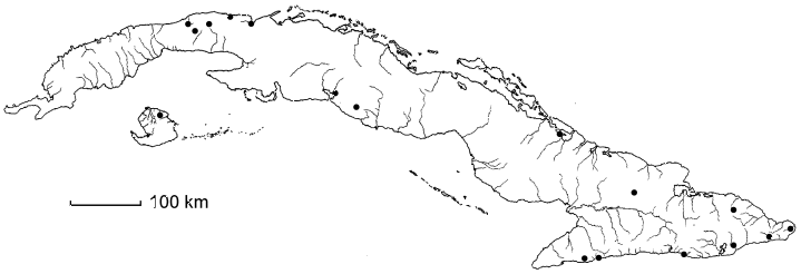 Melicoccus bijugatus