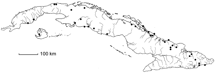 Pithecellobium histrix