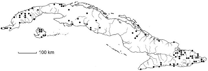 Serjania diversifolia