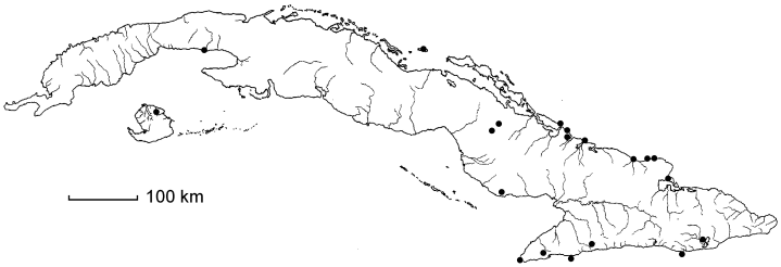 Stigmaphyllon microphyllum