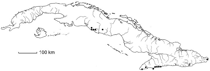 Thouinia maestrensis