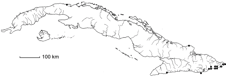 Zanthoxylum tragodes