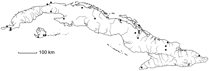 Abarema glaucum