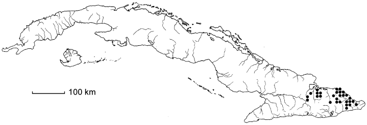 Byrsonima cuneata