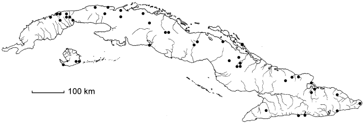 Byrsonima lucida