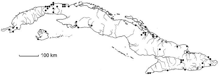 Cupania glabra