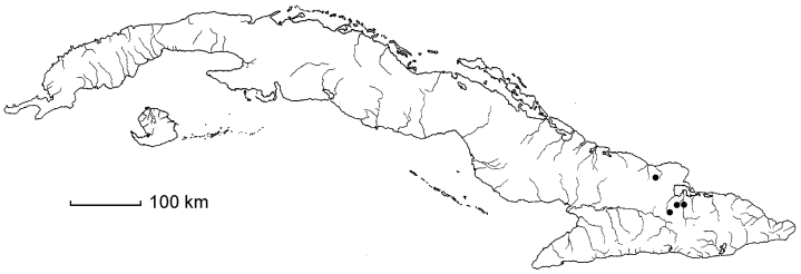 Dioscorea richardhowardii
