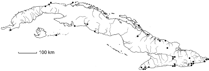 Hypelate trifoliata