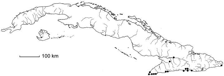 Malpighia glabra