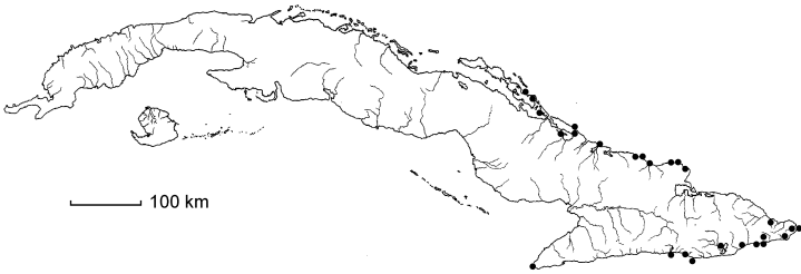 Malpighia setosa