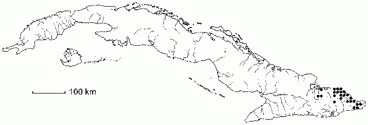 Purdiaea ophiticola