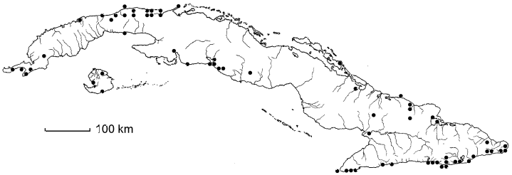 Serjania subdentata