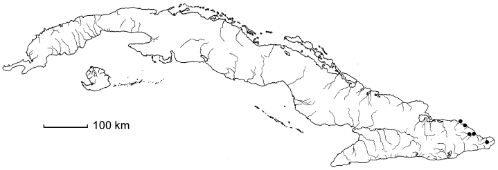 Tetralix brachypetalus