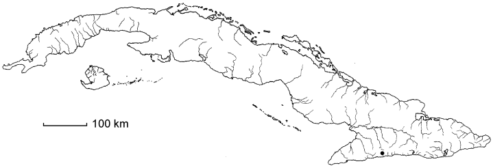 Tetrapterys aequalis