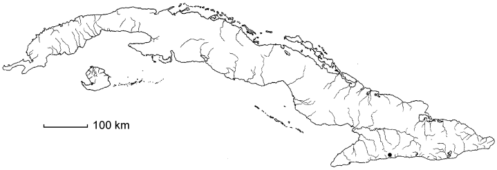 Zygia latifolia
