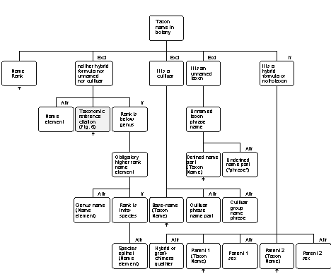 The IOPI Model