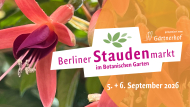 Staudenmarkt Logo