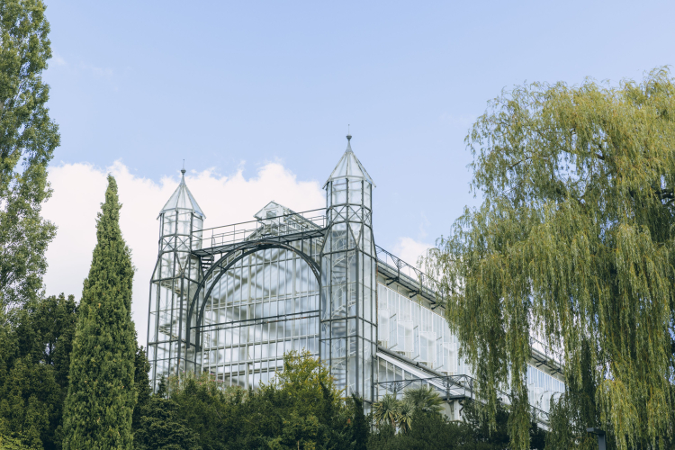 Mittelmeerhaus Botanischer Garten