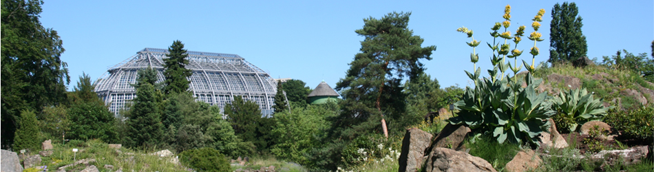 Berlin Garten Kakteenhaus | Botanischer