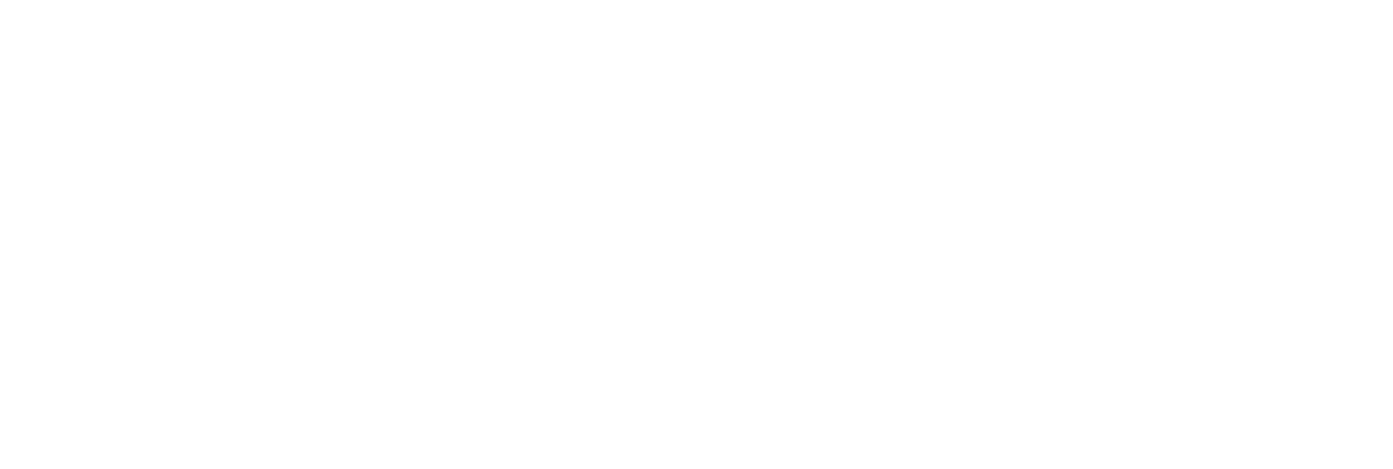 FU Berlin Logo Weiß