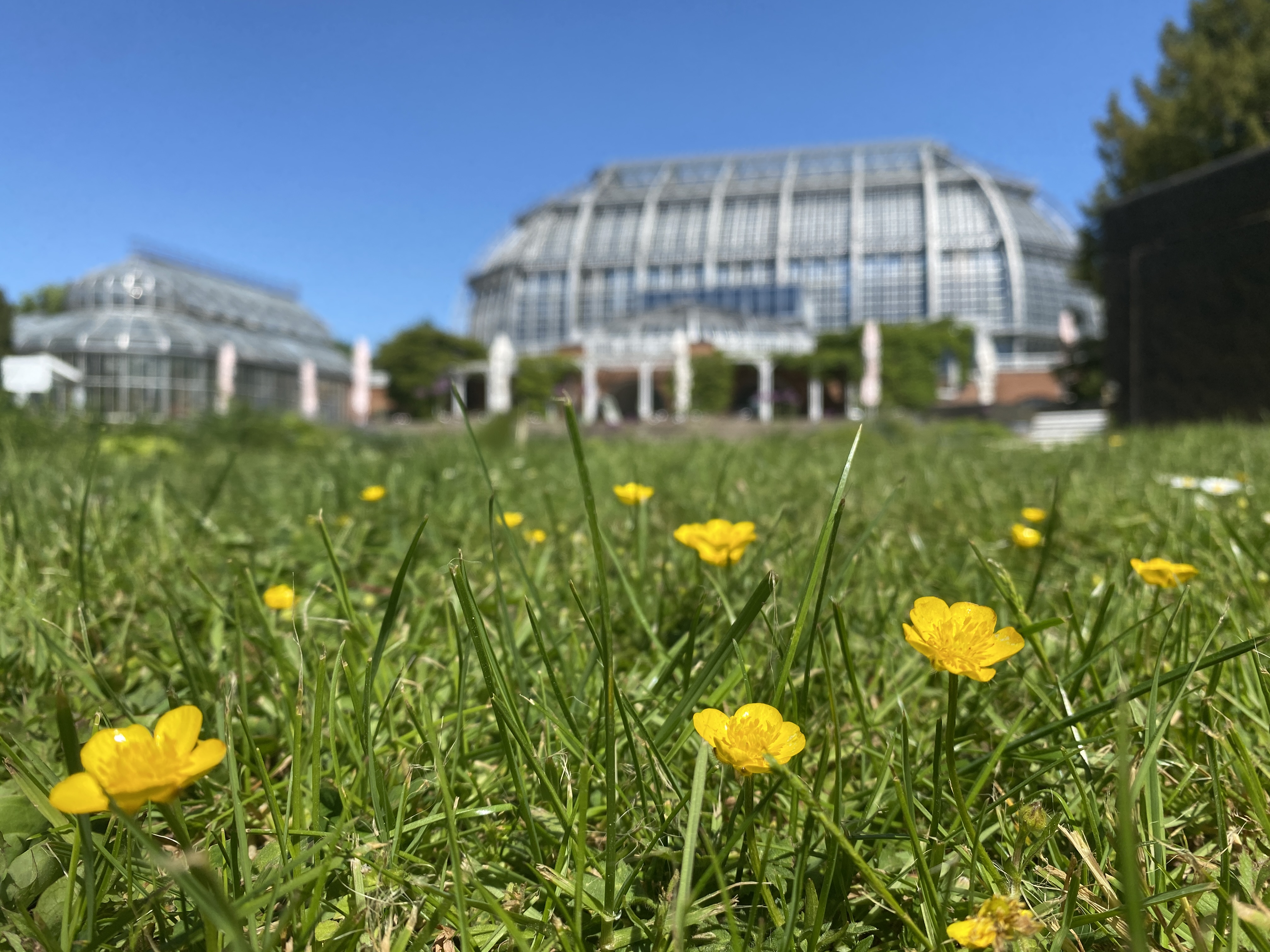 Internationaler Tag der biologischen Vielfalt | Yoga, Botany Slam ...