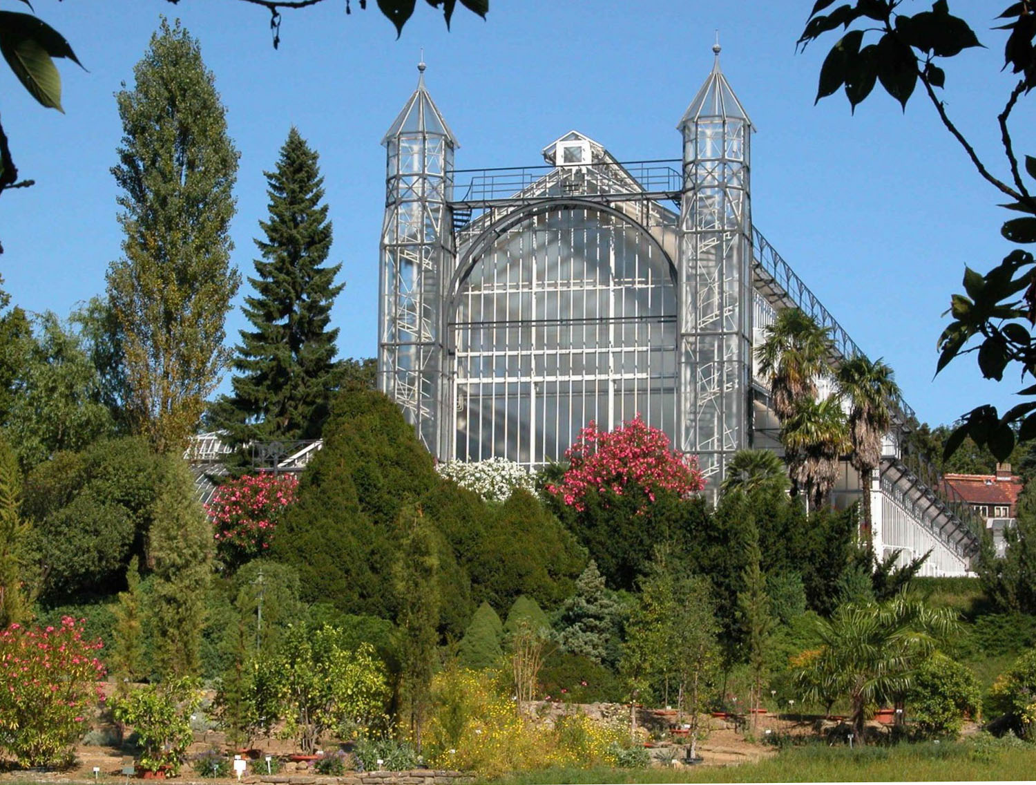 SanierungsAus fürs Mittelmeerhaus Botanischer Garten Berlin hofft auf