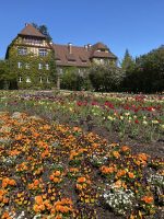 Unter den Eichen Eingang zum Botanischen Garten wieder