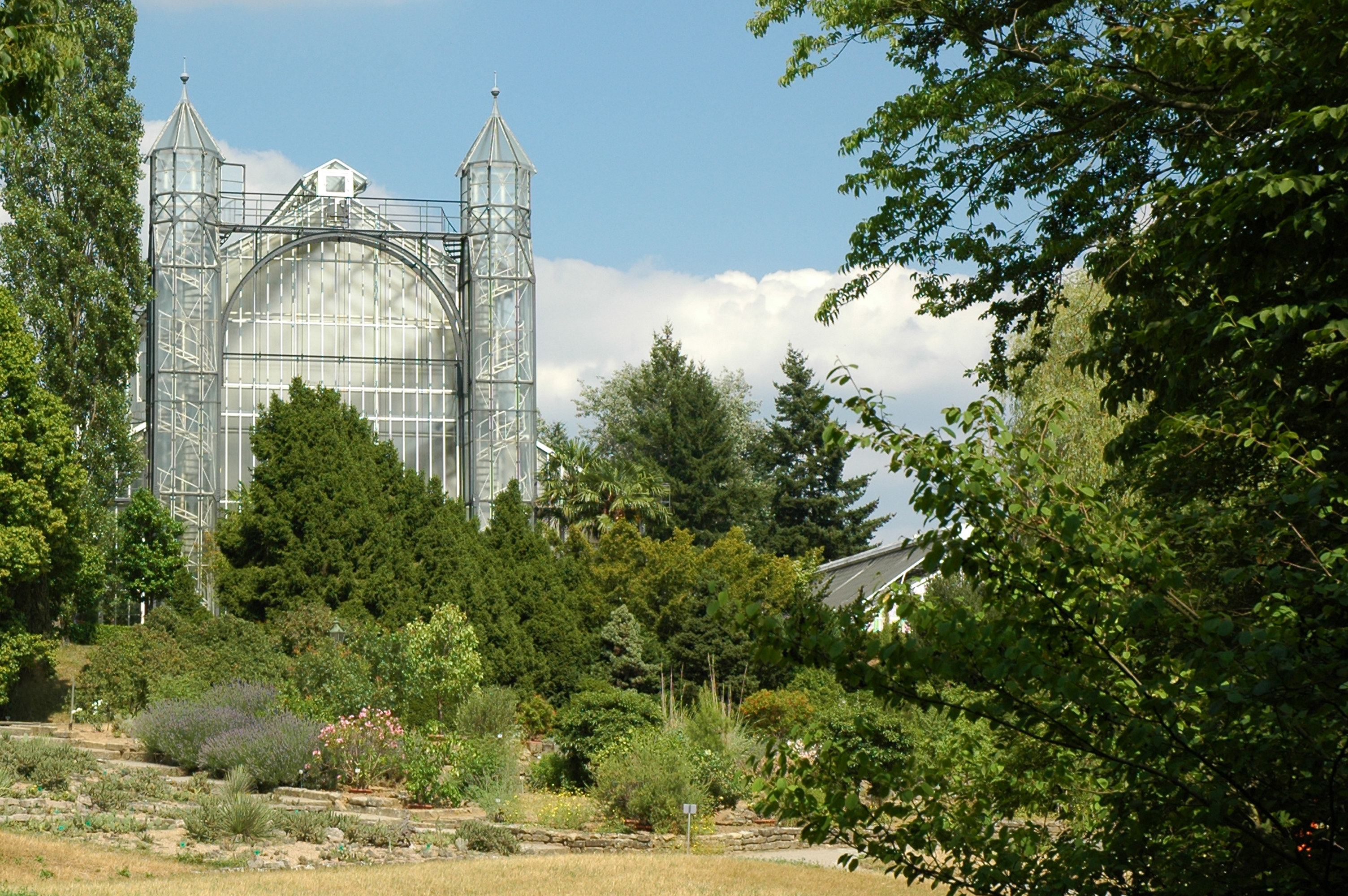 Heiraten Im Botanischen Garten Bgbm