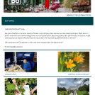 Sommer Newsletter 2026