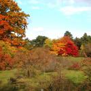 Arboretum