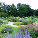 Arzneipflanzengarten
