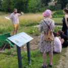 © Kristin Fiedler, Modellbeet Pflanze KlimaKultur!, Botanischer Garten Berlin