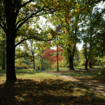 Arboretum Arboretum