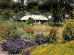 Sommer: Duft- und Tastpflanzengarten in voller Blüte