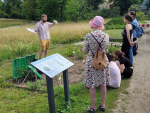 © Kristin Fiedler, Modellbeet Pflanze KlimaKultur!, Botanischer Garten Berlin © Kristin Fiedler, Modellbeet Pflanze KlimaKultur!, Botanischer Garten Berlin