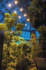 Tropische Nächte im Botanischen Garten Berlin | BGBM