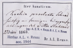 Herbarium Botainscher Garten Berlin / Etikett Herbar A. L. Reuss