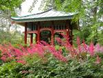 Japanpavillon mit blühenden Prachtspieren