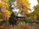 Herbst rund um den Japanpavillon