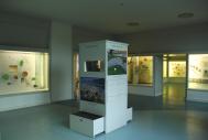 Botanisches Museum: Dauerausstellung Bereich Algen