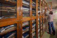Schränke im Herbarium