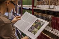 Wissenschaftlerin in der Bibliothek