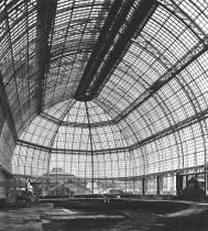 Großes Tropenhaus 1905