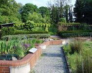 Wasserbecken im Sumpf- und Wasserpflanzengarten Sumpf- und Wasserpflanzengarten - Wasserbecken