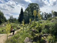 Nature_Journaling_im_Botanischen_Garten(c)Eva_Patzschke.jpg (4).JPEG