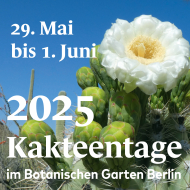 Kakteentage_2025_c_Thomas_Engel (2).jpg